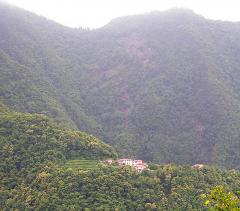 Gallena