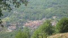 Terrinca