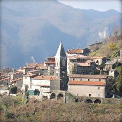 Volegno