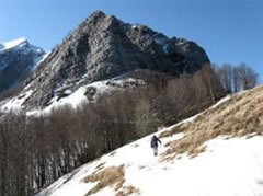 Monte Freddone