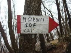 Monte Gabberi da Pomezzana